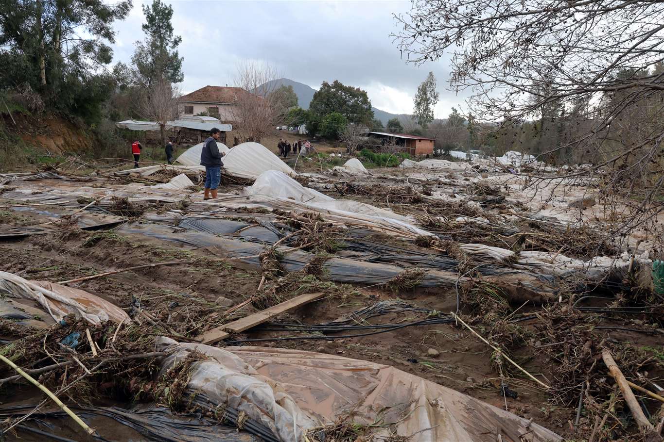 Muğla'da aşırı yağışların bilançosu açıklandı haberi
