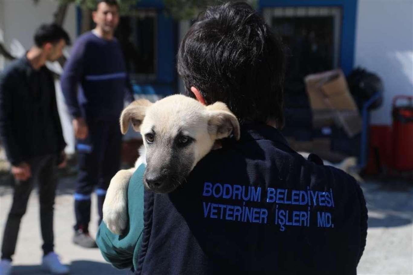    Bodrum Belediyesi önünde siyah çelenkli eylem, belediyeden tepki haberi