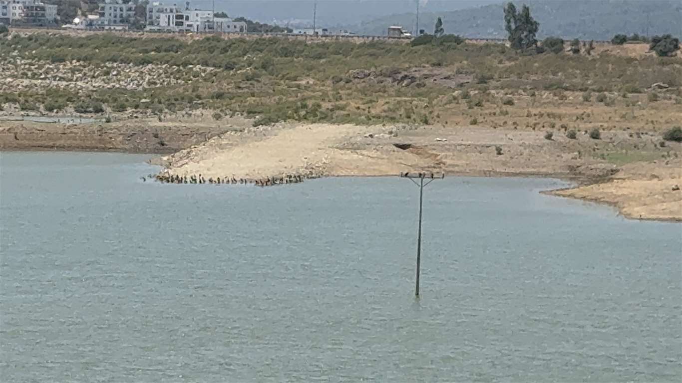 Bodrum'da barajlar alarm veriyor haberi