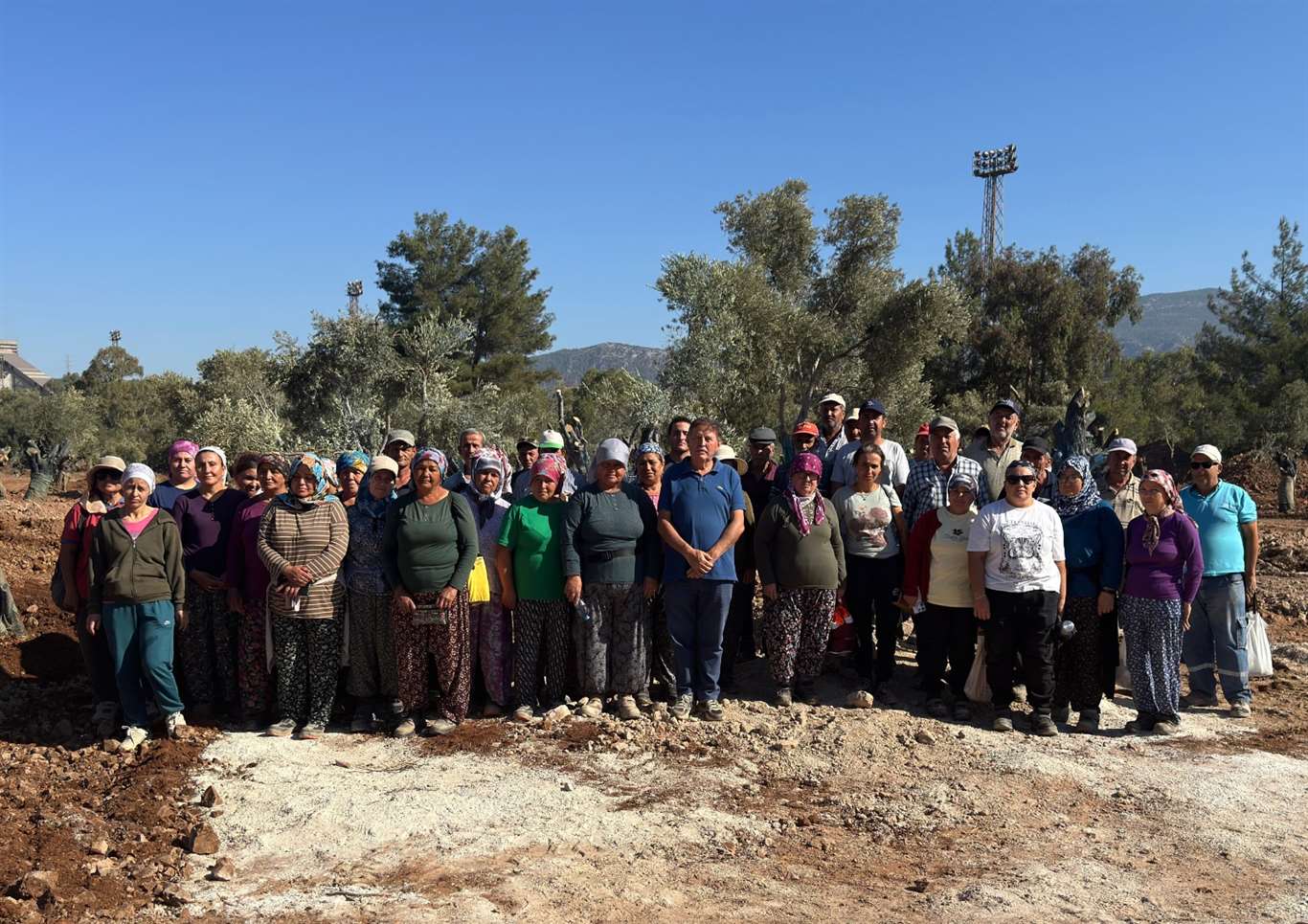 Taşınan 151 zeytin ağacını köylüler ve yerel basın yerinde inceledi haberi