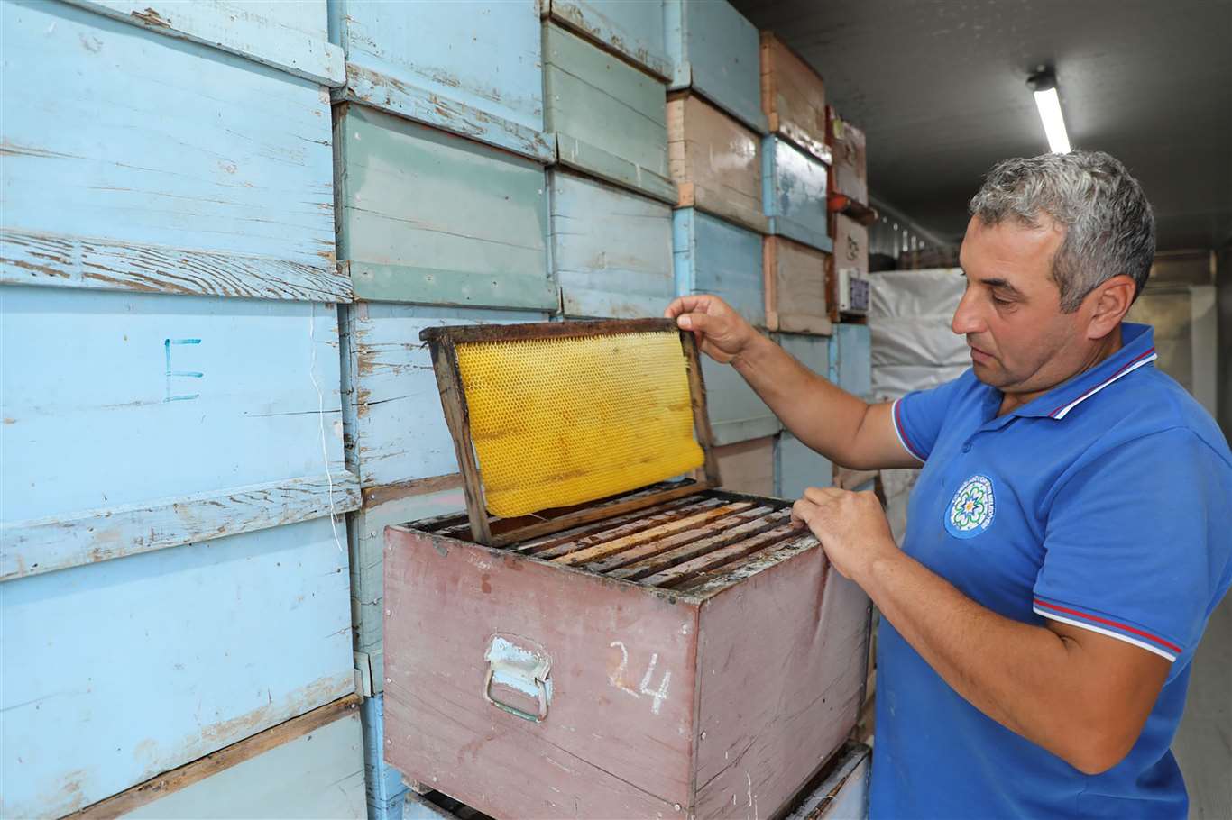 ‘Temiz Petek’ projesi arıcıların maliyetini düşürüyor haberi