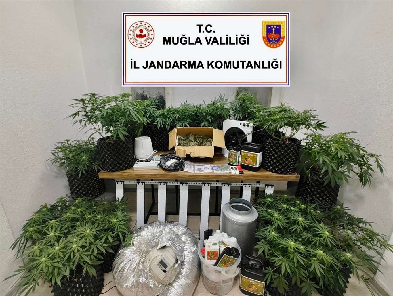    Bodrum'da uyuşturucu baskını: 2 gözaltı haberi