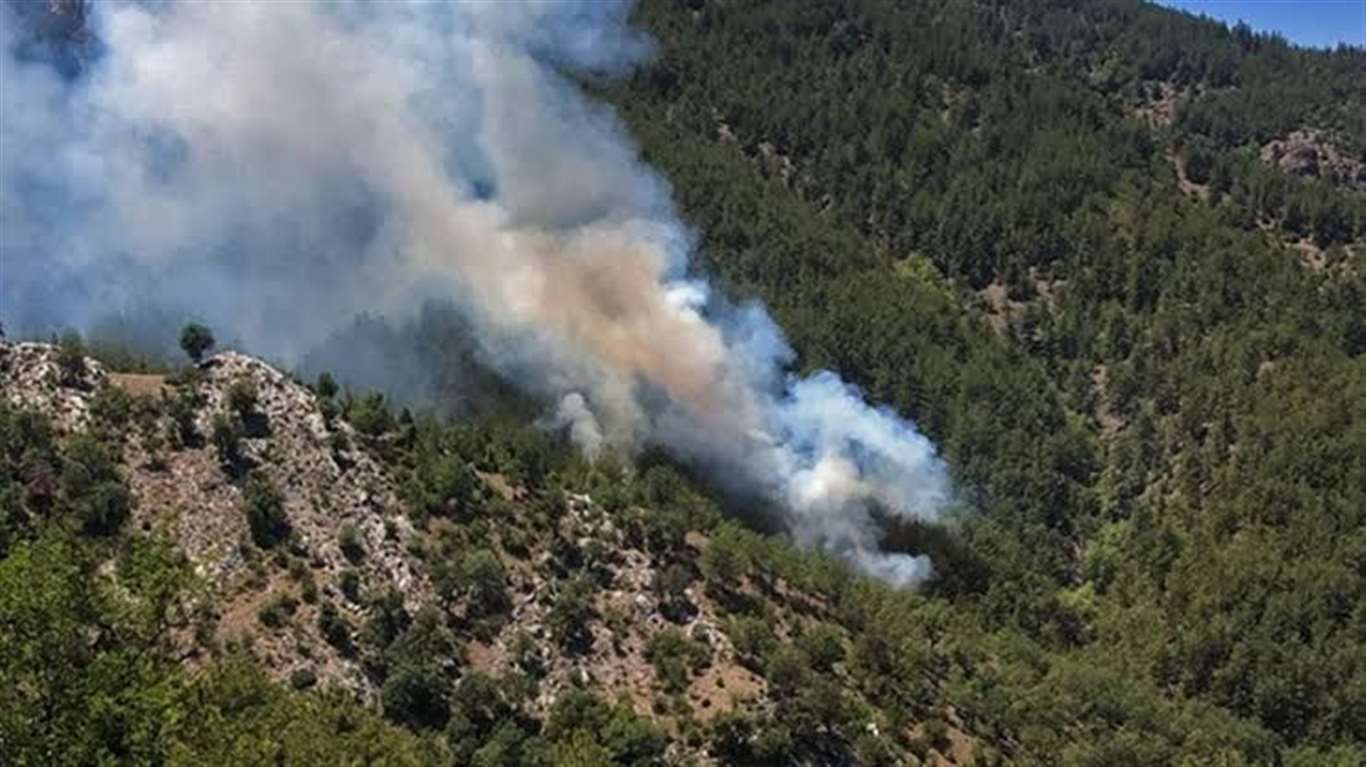 Muğla Valiliği'nden orman yangını riskine karşı uyarı haberi