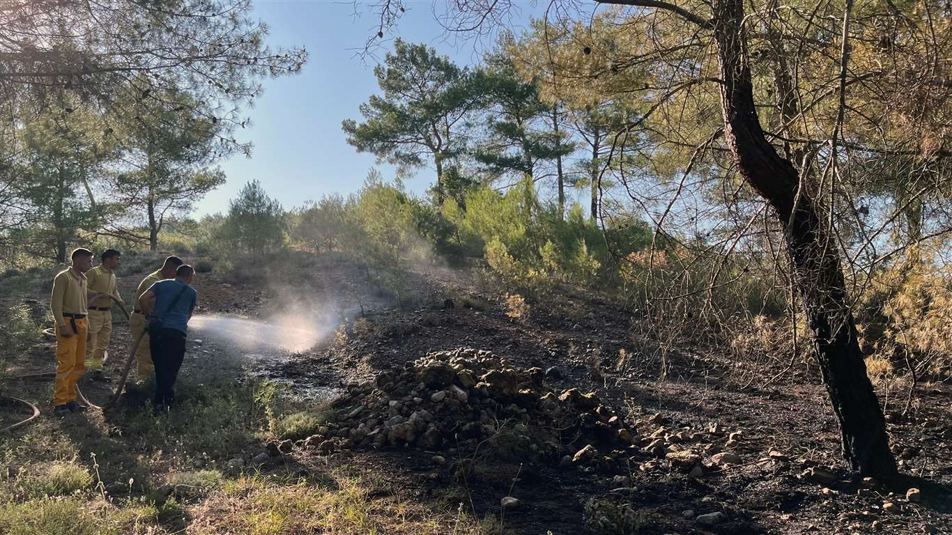 Marmaris'teki yangın sonrası 3 kişi gözaltına alındı haberi
