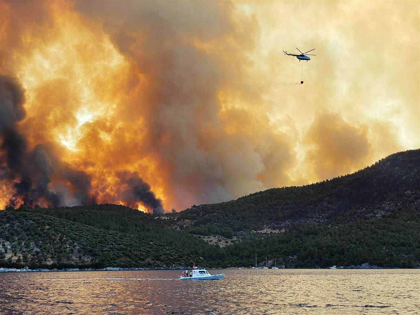          Yangınların sosyo-ekonomik etkileri projesi WWF raporunda haberi