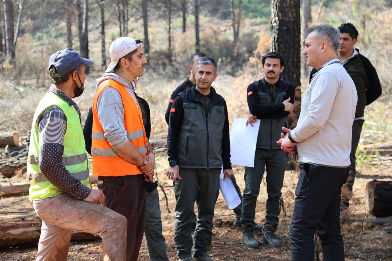 Köyceğiz'de yanık sahada inceleme yapıldı haberi