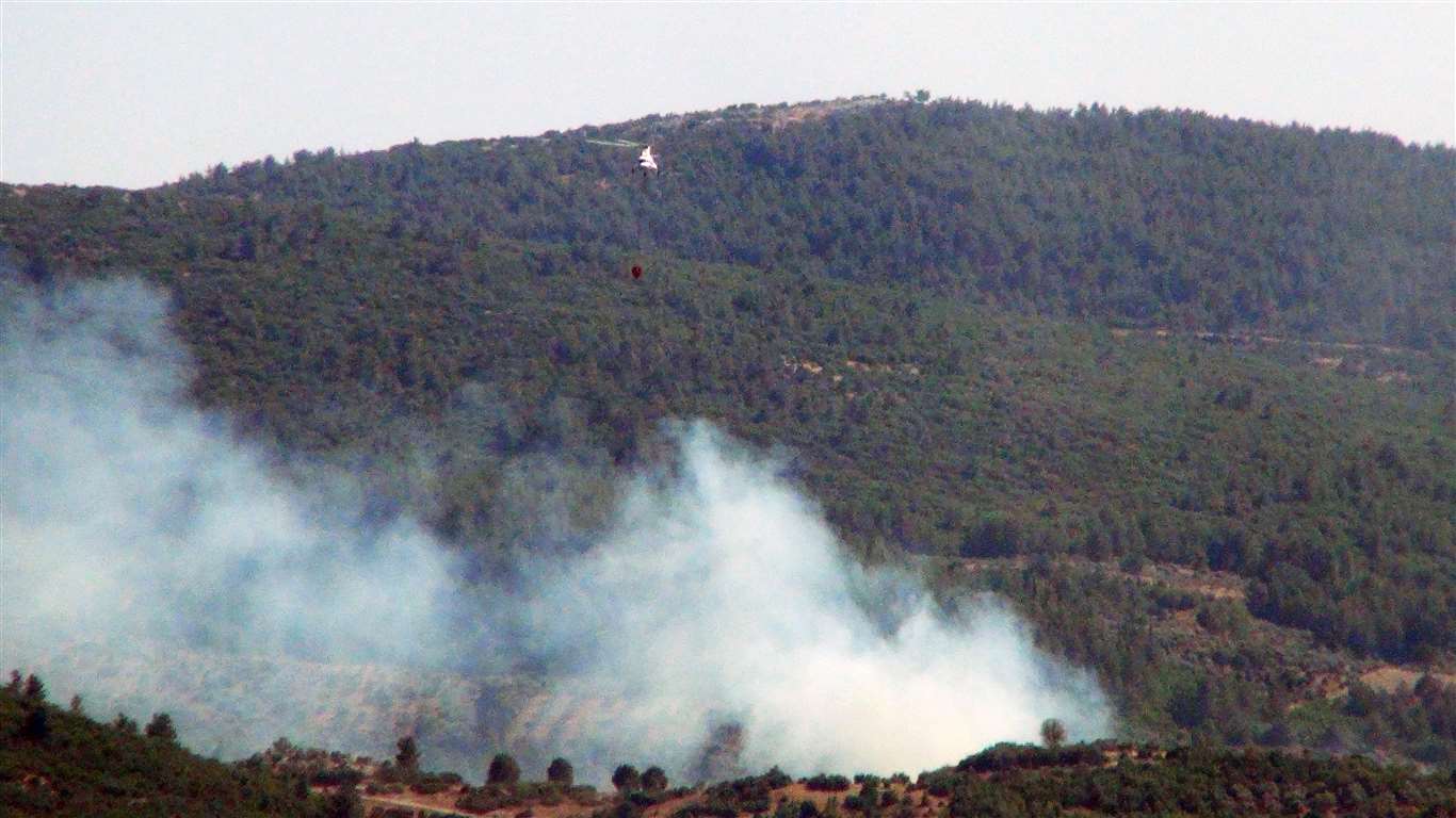  Zeytinlik alanda çıkan yangın söndürüldü haberi