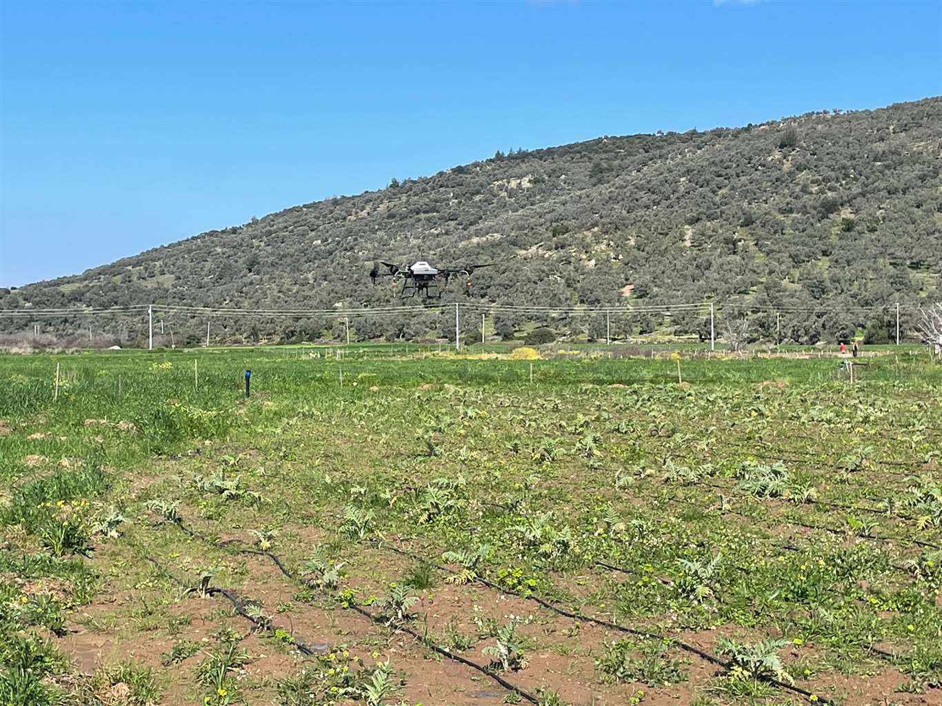       Bodrum'da zirai drone çiftçilerin hizmetine sunuldu haberi